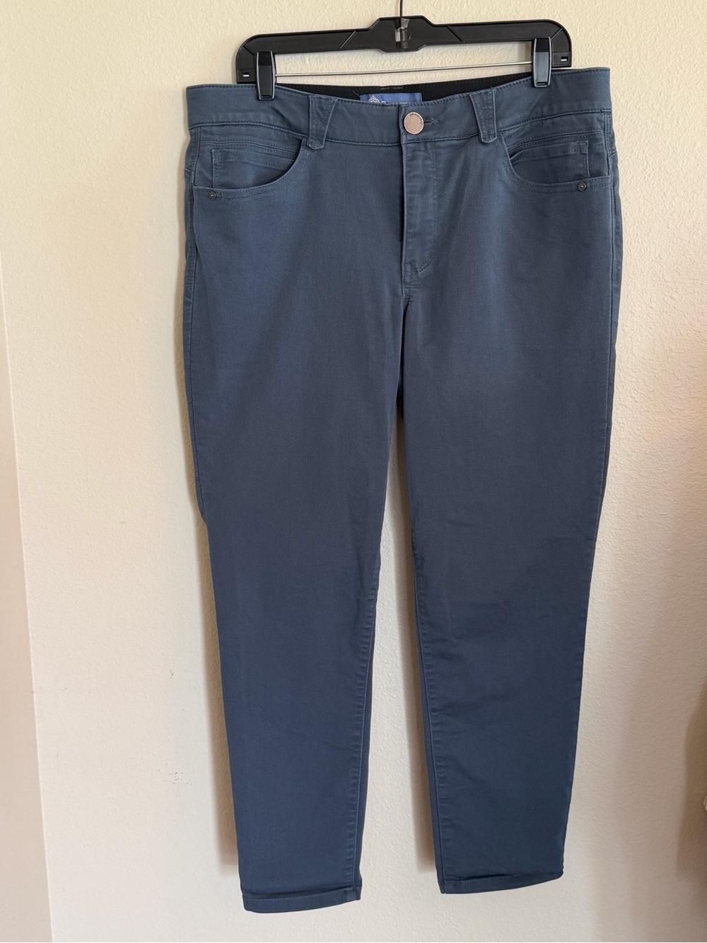 Democracy Women's Slate Blue Pants Size 14